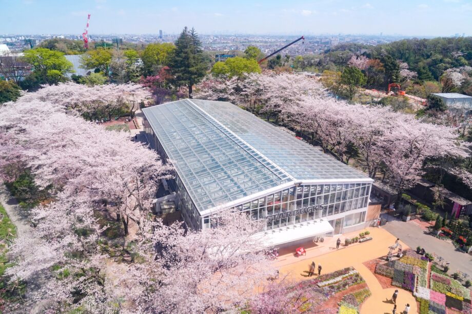 2024年のHANA・BIYORI（はなびより）春爛漫！夜桜のライトアップイベント「夜桜びより」開催