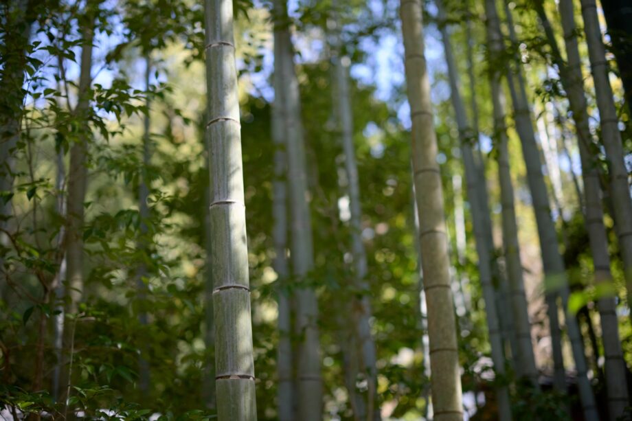 ＜4月20日まで＞春の竹人形展 100点の力作並ぶ＠海老名市