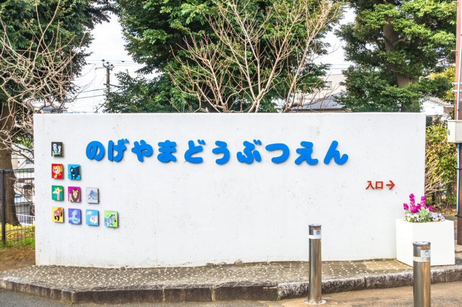 横浜市西区の野毛山動物園、大型連休に合わせ5月3日から5日まで開園時間を延長！