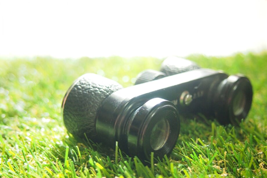 ＜4月15日開催＞春の野鳥と出会う ＠海老名運動公園