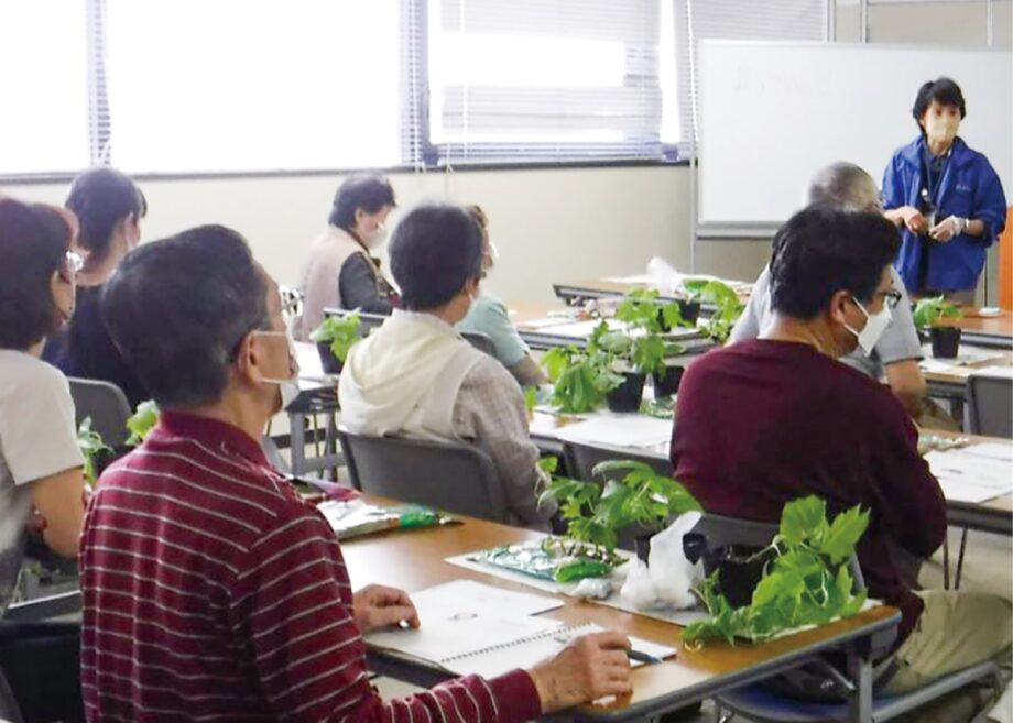我が家のSDGｓ！「グリーンカーテン」講習会＠相模原
