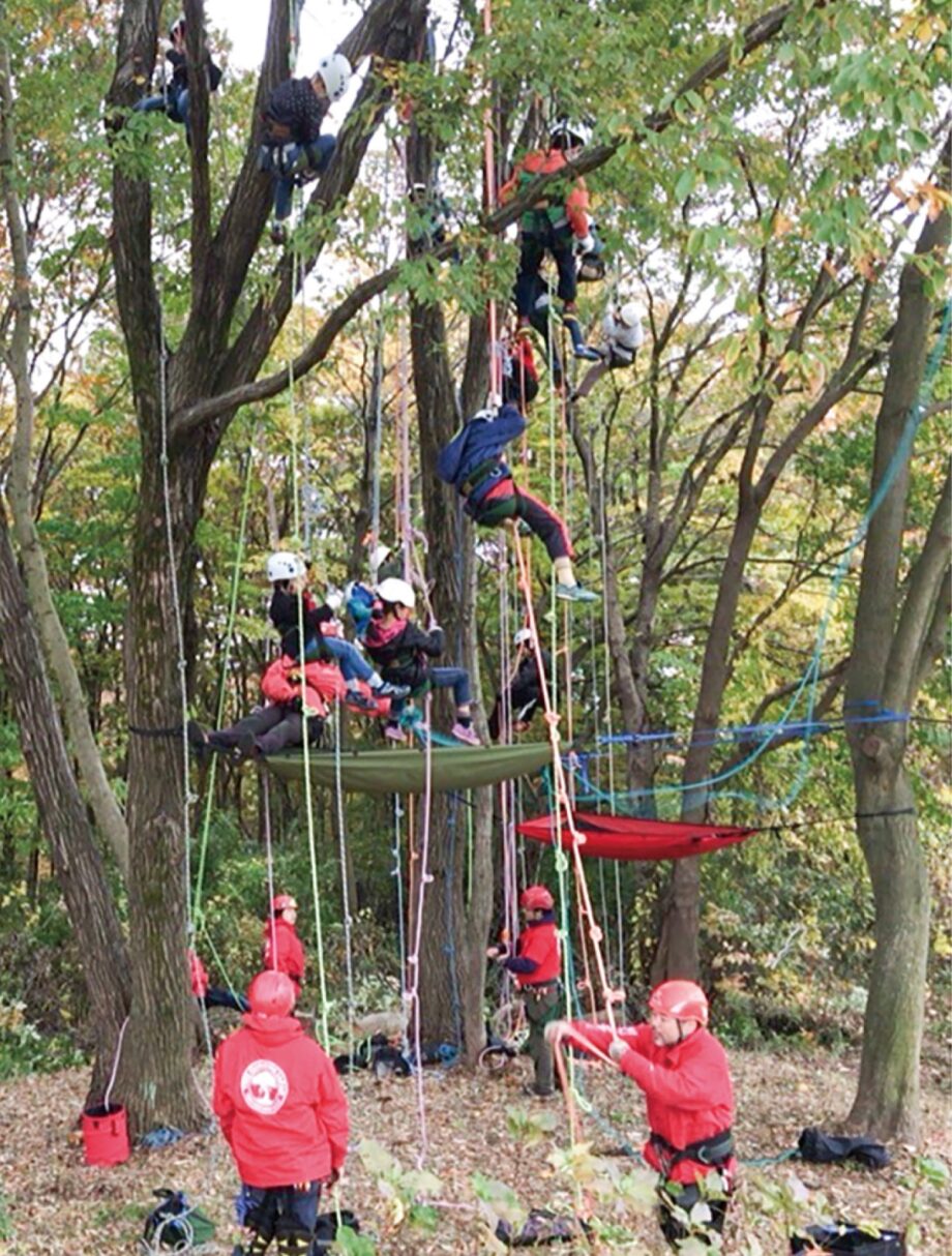 【参加無料】専用ギアとロープで木に登るツリークライミングしてみませんか＠八王子市：つどいの森公園