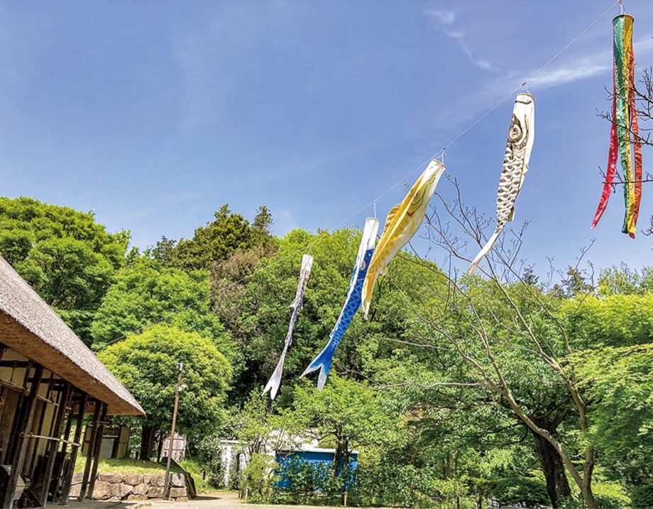 大和市郷土民家園 端牛の節供を展示中 ！５月５日に民家園まつりも開催