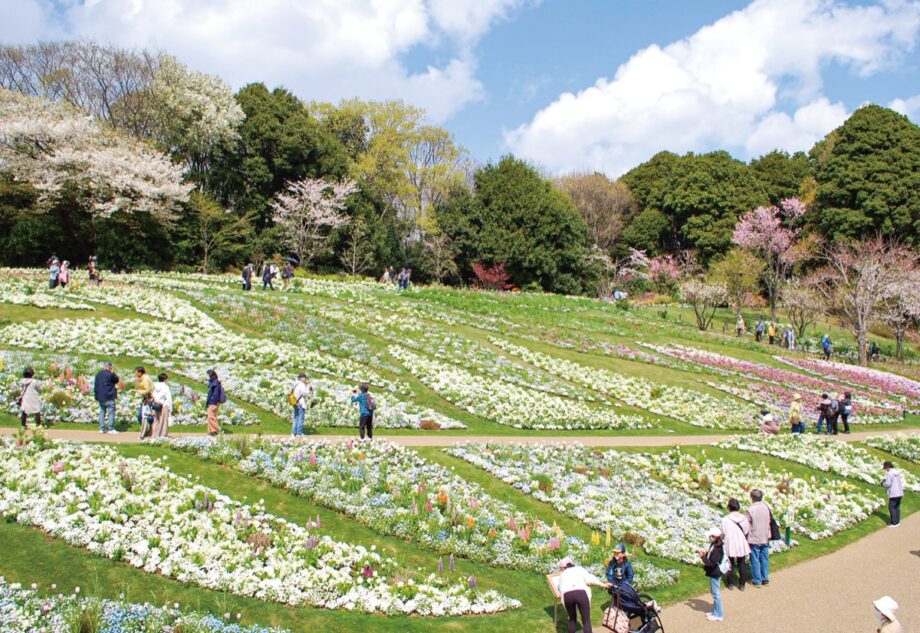 （2023年5月7日まで）春の恒例イベント「里山ガーデンフェスタ」が開催中＠横浜市旭区　里山ガーデン　