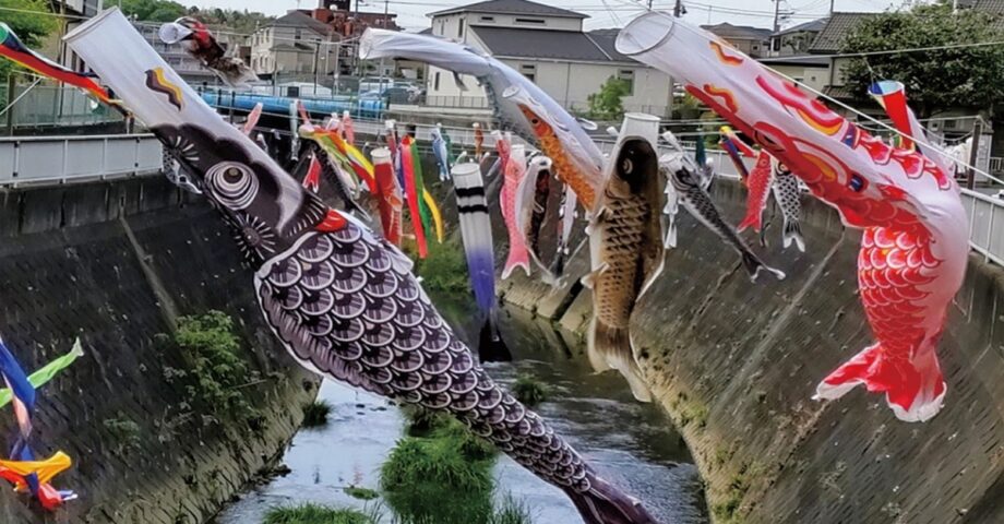 横浜市港南区日野川に約80匹のこいのぼり「日野川・鯉のぼり子どもまつり」５日は大北公園でイベントも！