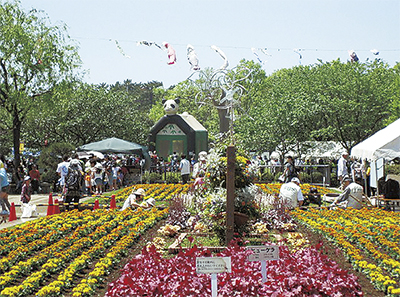 【5月4日と5日】藤沢・長久保公園＜春のみどりと花のまつり＞五感で触れる