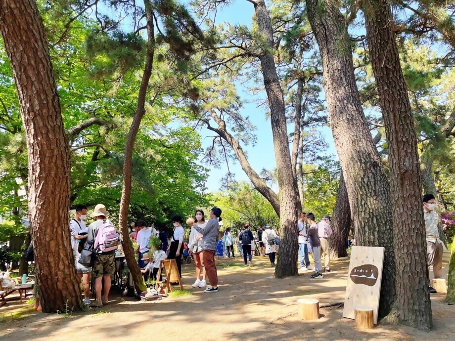 松からの木漏れ日が降り注ぐ高砂緑地で