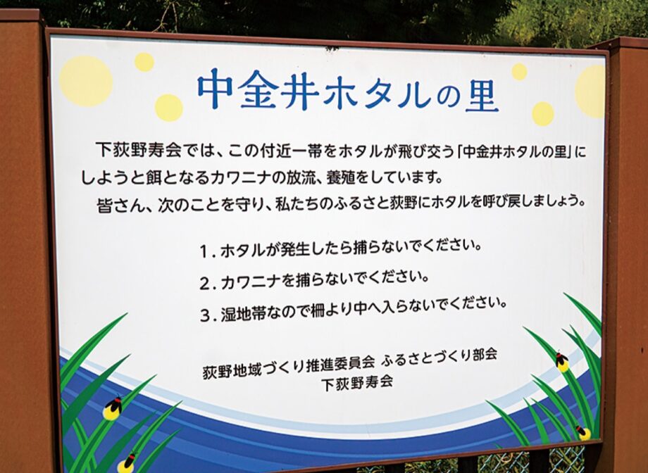 （5月27日）厚木市下荻野の金井ホタルの里で観賞会が開催　ホタルの乱舞に期待