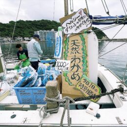 6月4日（日）逗子市小坪漁港で船上市場「旬の魚介楽しんで」/売切れ次第終了です！