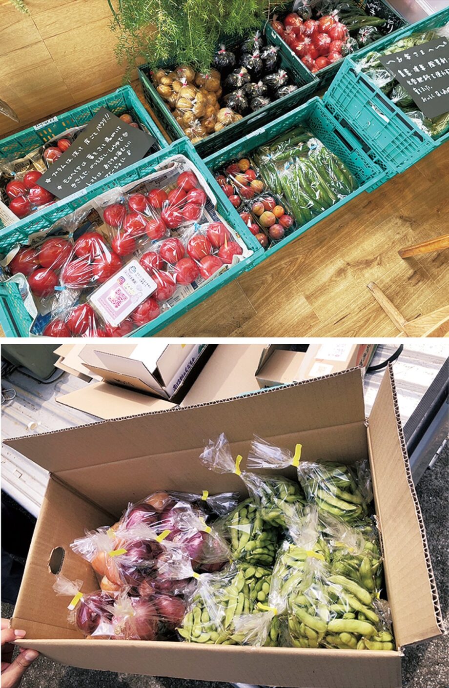 川崎市高津区の不動産会社エヌアセットが「野菜市」地元産の新鮮な野菜を販売【７月２日】