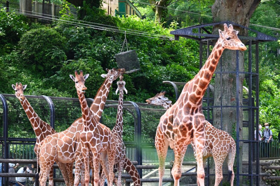 横浜市内の３動物園でシールラリーイベント＜2023年7月30日まで＞達成