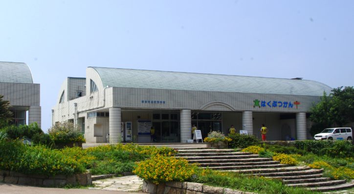 【横須賀市】求む！懐かしの観音崎「創立70年周年記念の展示写真を募集」6月末と11月末締切