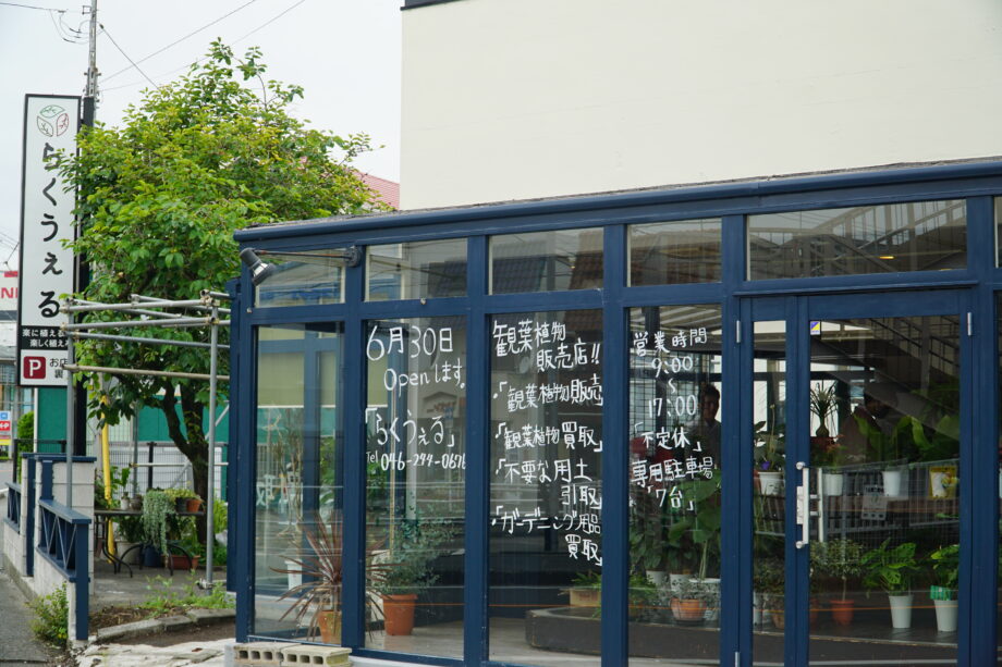 【記者レポート】厚木市で初めて！持続可能な循環型の園芸店「らくうぇる」で鉢植えのリユースしませんか？