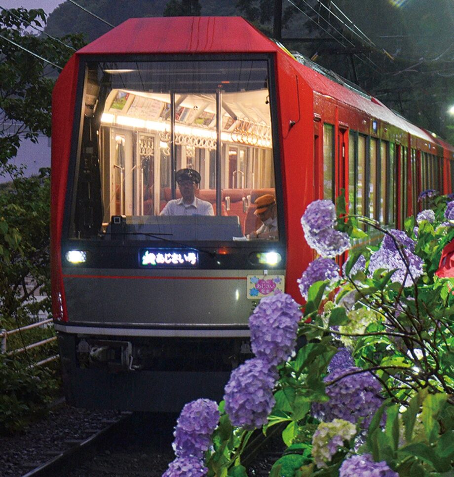 【箱根登山鉄道】初夏の風物詩　夜のアジサイ楽しんで！2023年７月９日までライトアップ