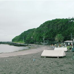 【三浦・油壷荒井浜海岸】朝ドラ「らんまん」にちなみ植物観察ー6/16（金）ー