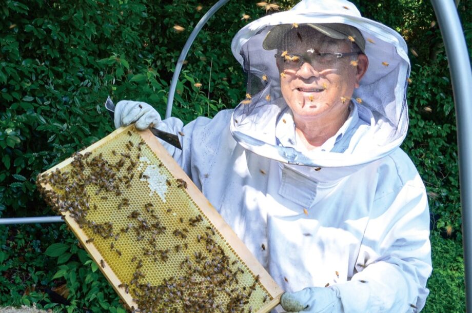 ６月は栗の花の蜜で「中井町Honey」地元の味をはちみつに＠中井町