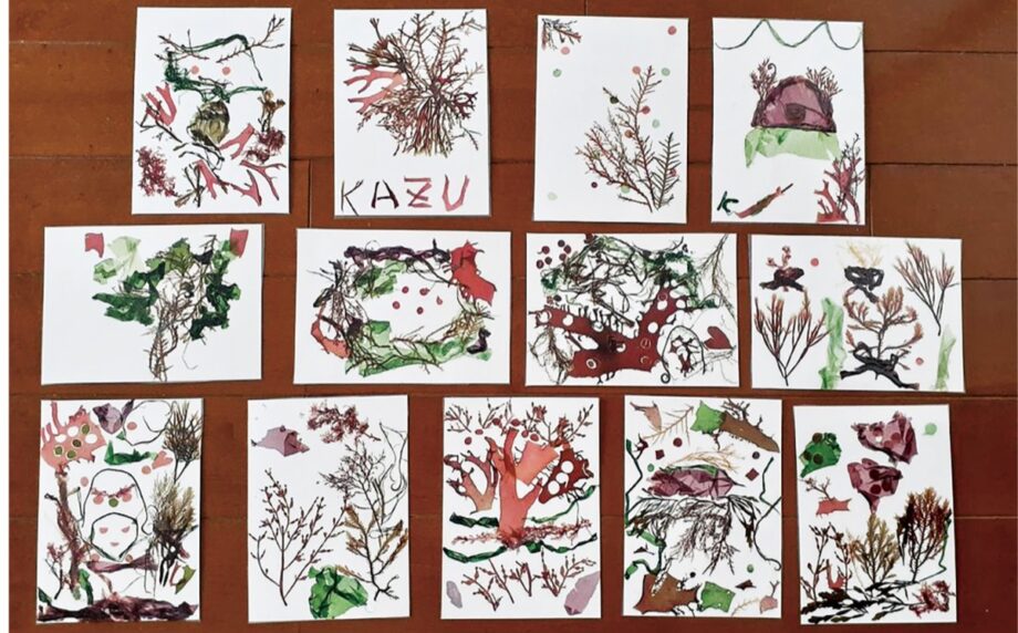 海藻を使って模様を描く「海藻おしば」体験教室【午後の部　参加者募集中】＠横浜市戸塚区　とつか区民活動センター