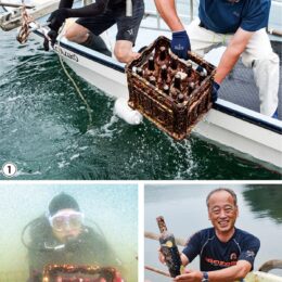 三浦小網代湾から”バサッ”海底熟成ワイン～2023年は1200本引き揚げ～