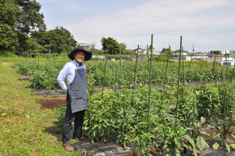 農家と一緒に育てるから安心！楽しい！「エコシル農園・藤沢」は有機栽培で野菜をつくる農業体験農園