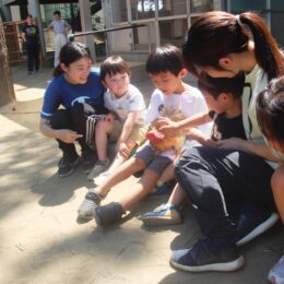 【令和６年度園児募集】神奈川区白楽のニューライフ幼稚園が創立70周年！自然と関わる体験活動が充実、自主性育む幼稚園生活を