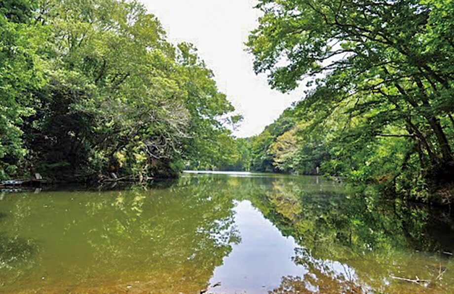秦野市・震生湖 誕生100年の節目【2023年９月２日】記念式典が開催