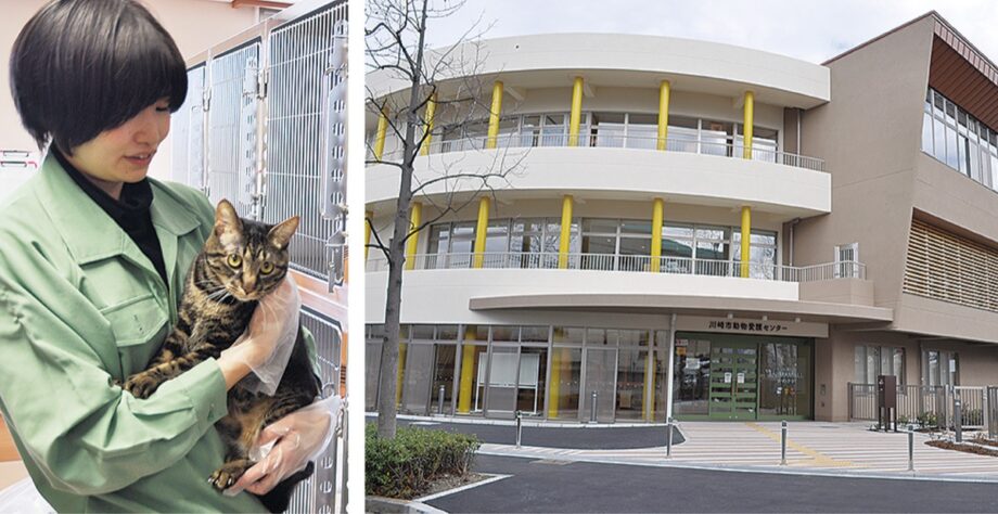 【９月23日】中原区・アニマモールかわさきで「動物愛護フェア」聴導犬の存在を知ってますか？