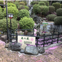 大倉山の一角、四季の表情豊かな「森の蔵ガーデン」で笑顔のおもてなし＠横浜市港北区
