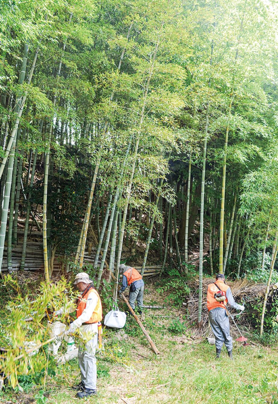 「三浦竹友の会」竹林再生、無償で20年　日本古来の風景残す