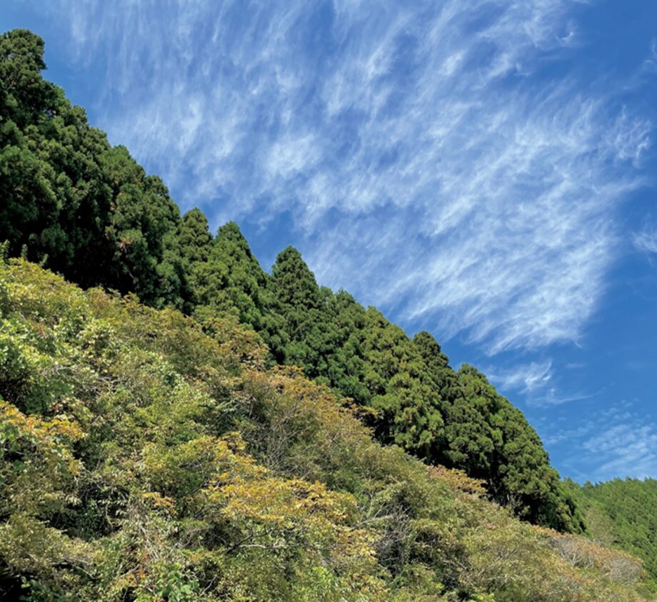 〈10月22日〉秦野市山岳協会と行く「秋の林道ウォーク」