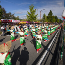 第77回秦野たばこ祭～２０２４年は３人のふるさと大使が登場！たばこ音頭パレード・打上花火など2日間満喫～