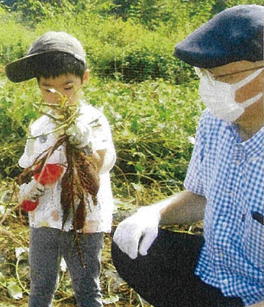 【八王子市内在住者】八王子市上川町の畑でサツマイモ収穫体験イベントを開催