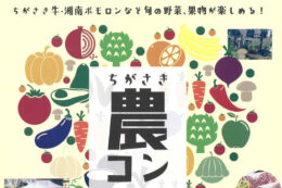 【11月17日締切】茅ヶ崎で旬の野菜を楽しみ、素敵な出会いを見つける『茅ヶ崎農コン』の参加者を募集中