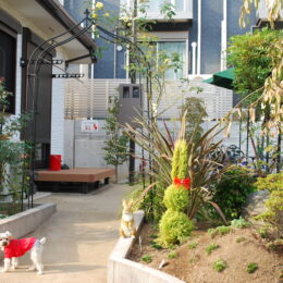 【横浜市港北区箕輪町】うさぎが誘う四季の庭「ミニ・ギャラリーコジマ」で癒しのひとときを