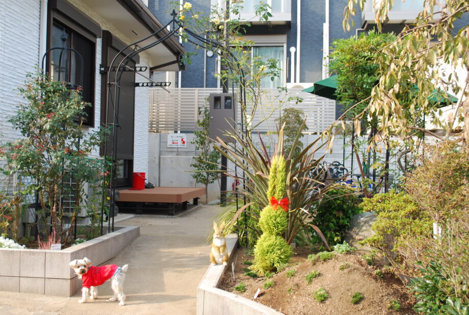 【横浜市港北区箕輪町】うさぎが誘う四季の庭「ミニ・ギャラリーコジマ」で癒しのひとときを