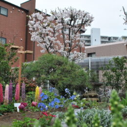 【港北オープンガーデン会場】地域の作家のアートが集う「ミニ・ギャラリーコジマ」四季の庭で癒しのときを