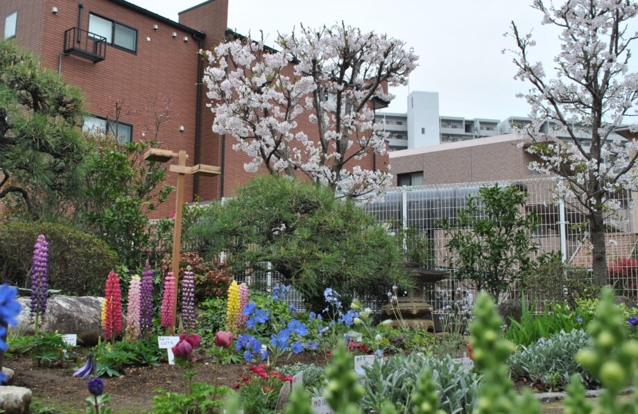 【港北オープンガーデン会場】地域の作家のアートが集う「ミニ・ギャラリーコジマ」四季の庭で癒しのときを