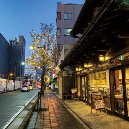 小田原銀座通りに冬の彩り、イルミネーション点灯！