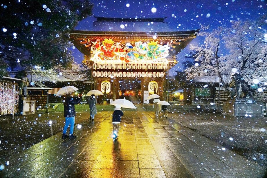 【11月8日～23日】第５６回寒川神社 「菊花展」と四季折々の「写真展 」開催