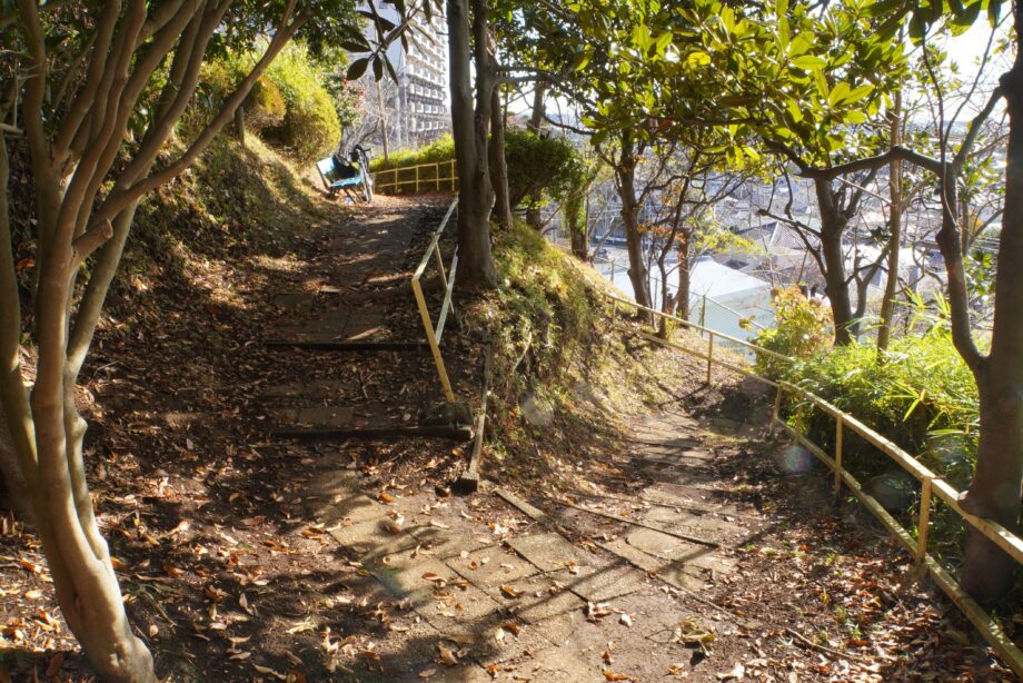 茅ヶ崎市殿山公園の園内の様子。うねうねした階段が広がっている。