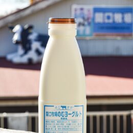 横須賀市内唯一の「関口牧場」牛乳のおいしさ「ギューつ」のむヨーグルト製品化・販売中！