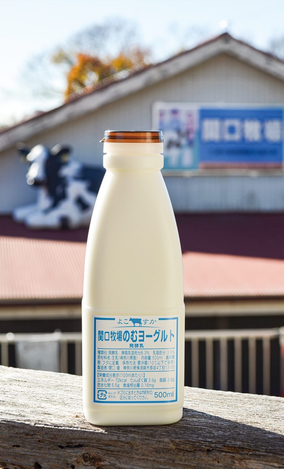 横須賀市内唯一の「関口牧場」牛乳のおいしさ「ギューつ」のむヨーグルト製品化・販売中！
