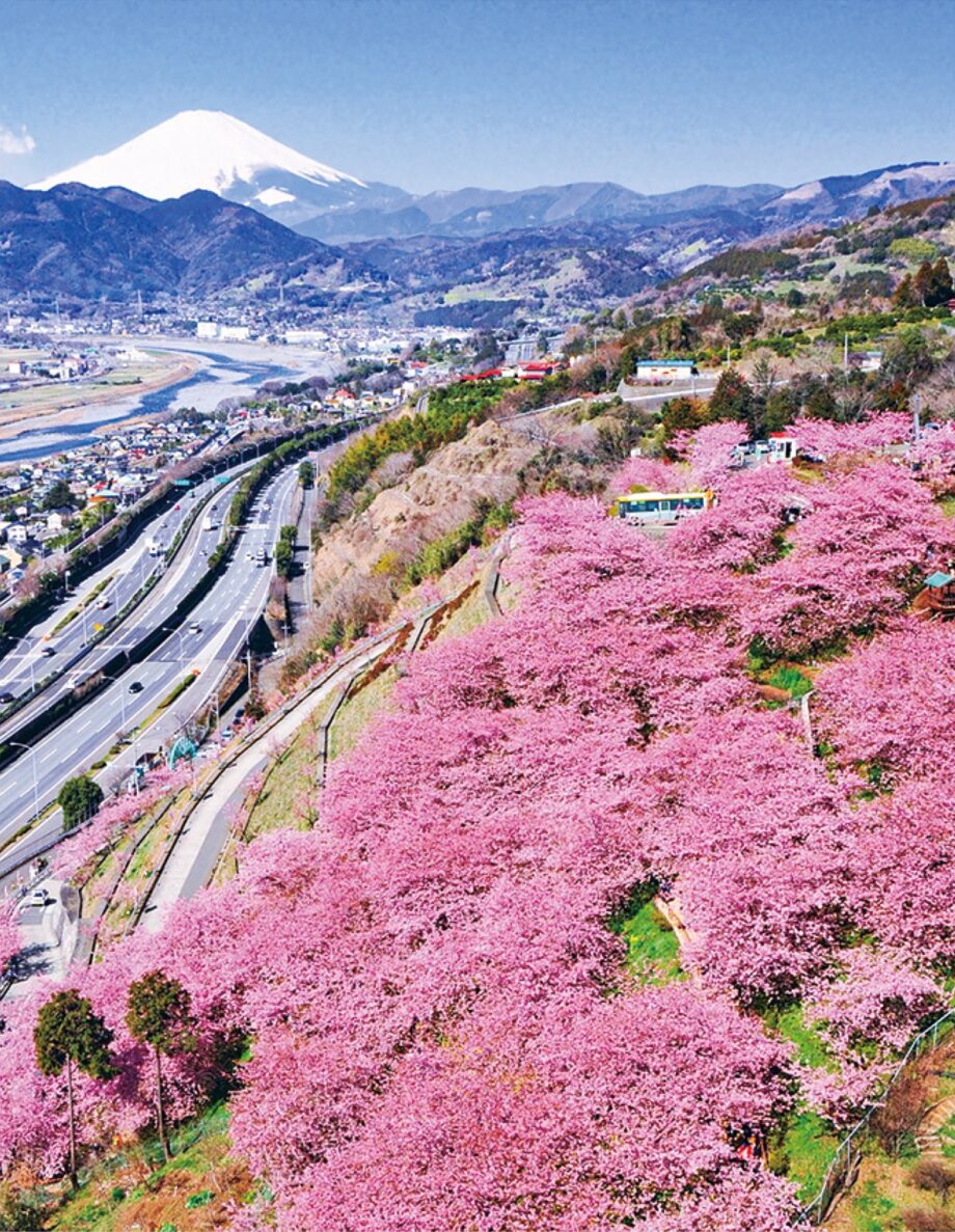 〈松田町在住・在学の中高生対象〉松田町のＰＲ動画を作ろう！ワークショップ参加者募集！