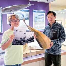【横須賀市】捕鯨の歴史知る資料にー貴重なヒゲを観音崎自然博物館へ寄贈ー