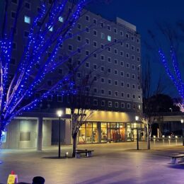 【12月14日点灯】茅ヶ崎市役所前広場が美しいイルミネーションで彩られます