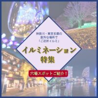 地元でキラめく神奈川周辺「ご近所イルミネーション」穴場スポットも