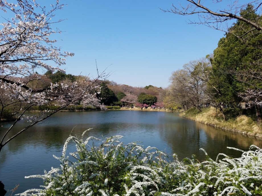 【参加者募集】県立三ツ池公園で自然観察と韓国語を楽しむ「韓国語でネイチャーハイク」＠横浜市鶴見区