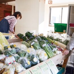 三浦市南下浦の農家たち出品ー高品質な野菜ずらりー＠レンタルスペースaiba