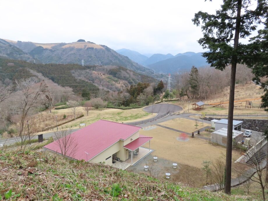 ＜参加無料＞山北つぶらの公園で桜の植樹＆間伐体験をしよう！神奈川県公園協会50周年記念事業