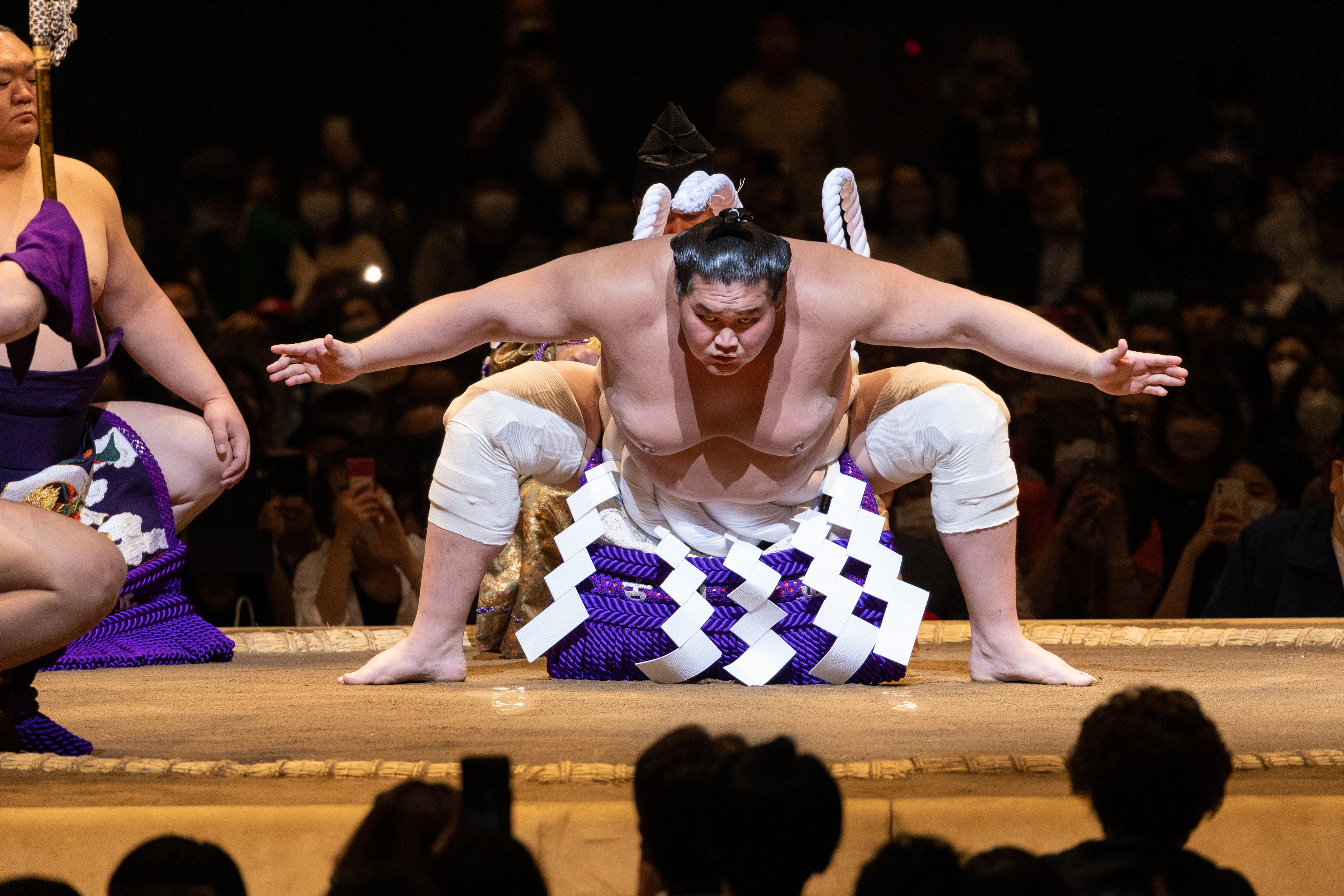 令和5年春巡業 大相撲横浜アリーナ場所 タマリS席 チケット-