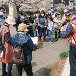 横浜市南区の大岡川沿いをお花見散歩「お花見ウォーキング」2024年3月17日